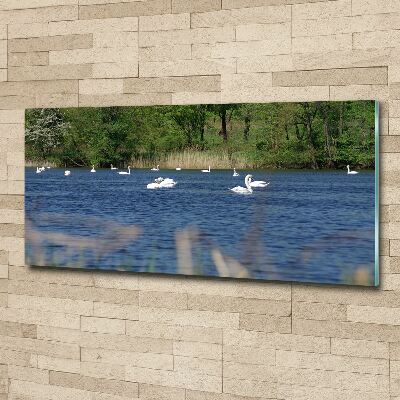 Wall art acrylic White swans