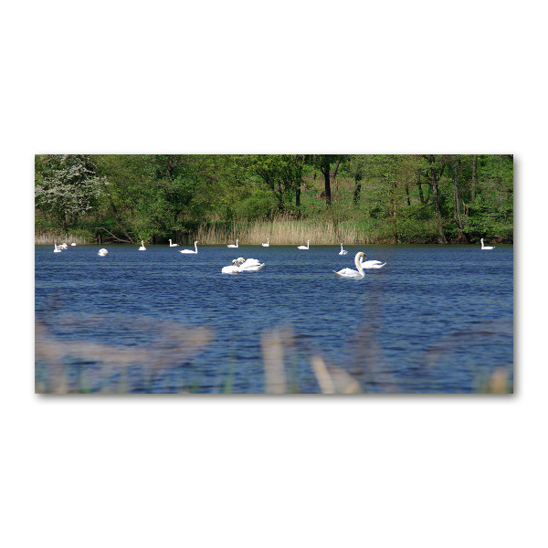 Wall art acrylic White swans