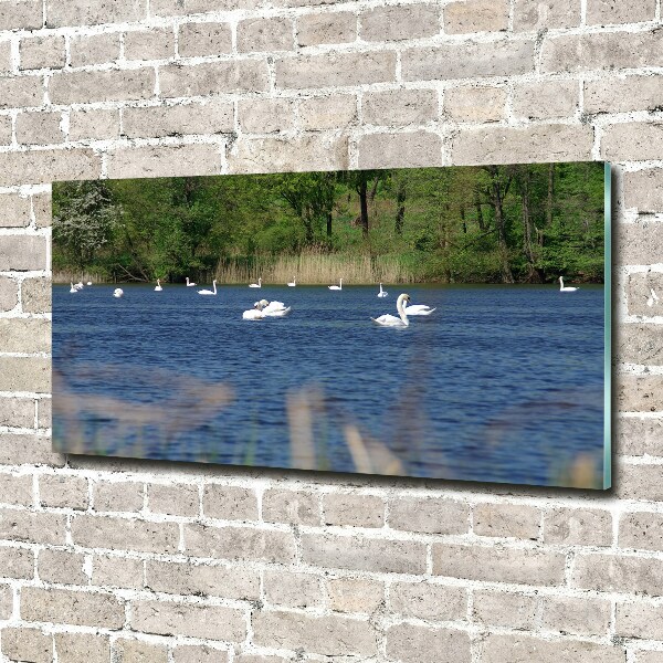 Wall art acrylic White swans