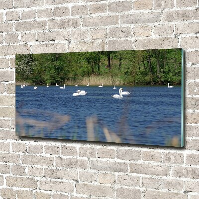 Wall art acrylic White swans