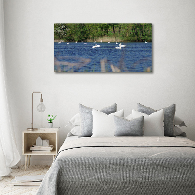 Wall art acrylic White swans