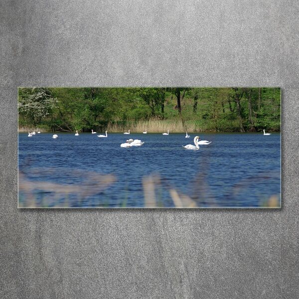 Wall art acrylic White swans