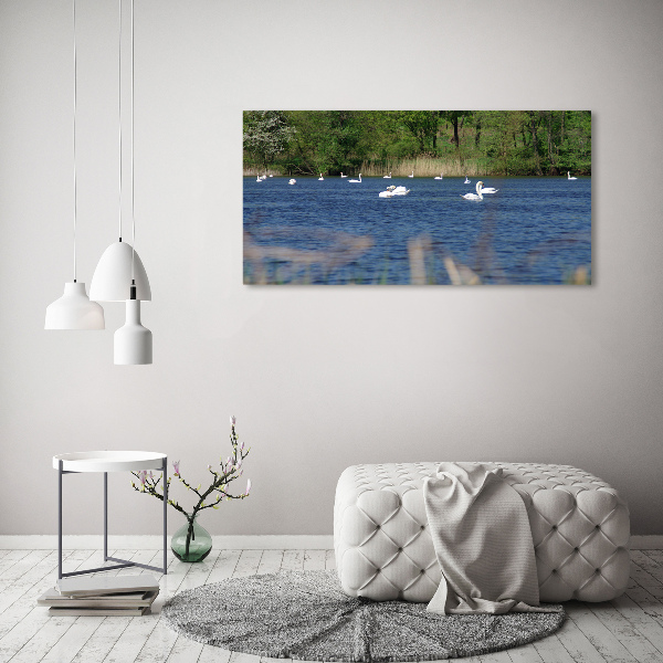 Wall art acrylic White swans