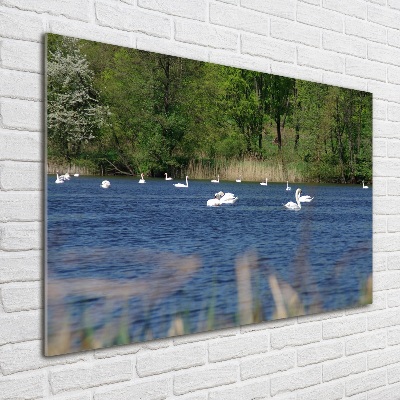 Wall art acrylic White swans