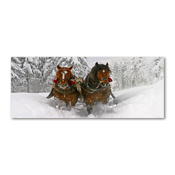 Wall art acrylic Sleigh ride