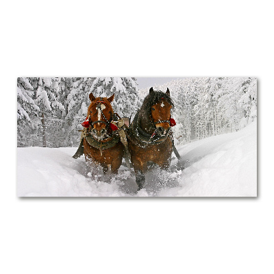 Wall art acrylic Sleigh ride