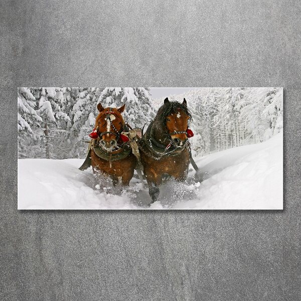 Wall art acrylic Sleigh ride