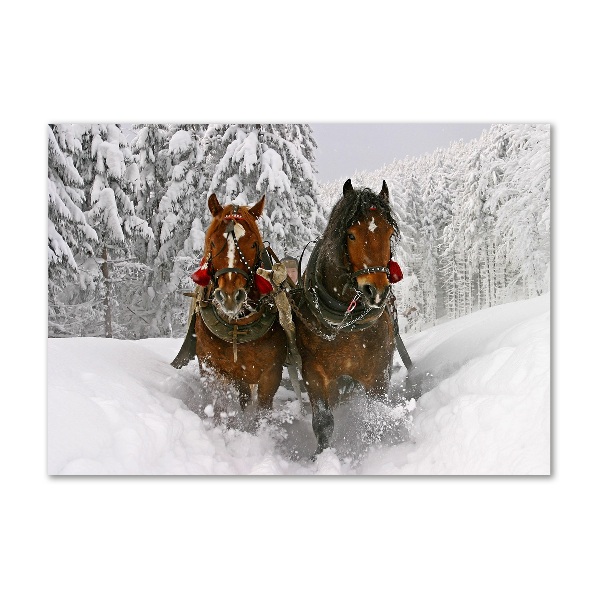 Wall art acrylic Sleigh ride