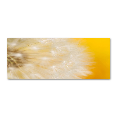 Wall art acrylic Dandelion