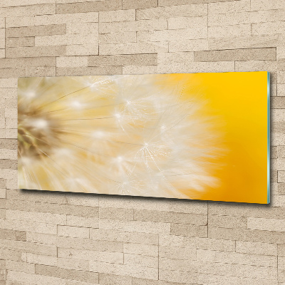 Wall art acrylic Dandelion