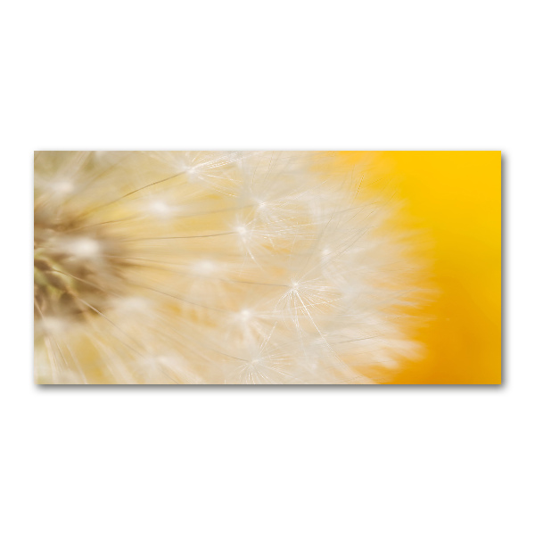 Wall art acrylic Dandelion