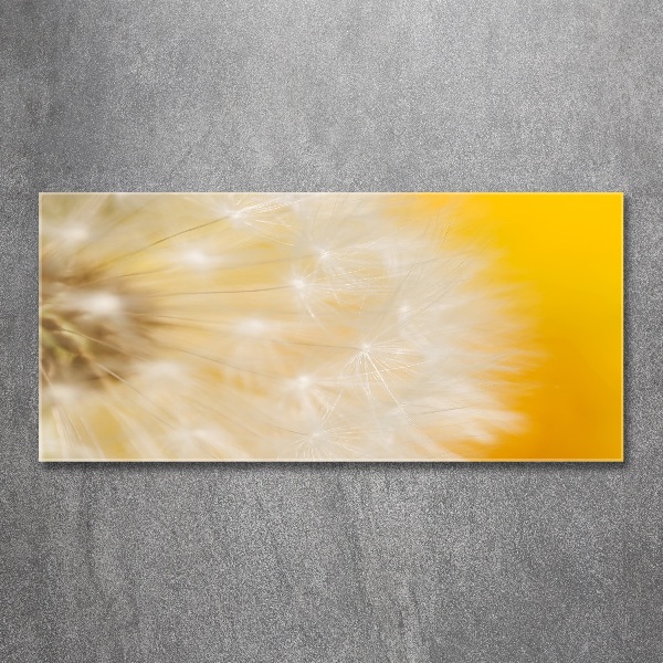 Wall art acrylic Dandelion