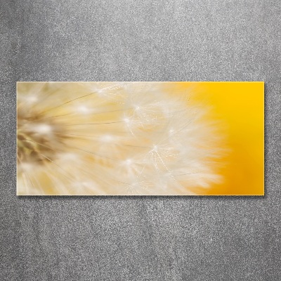 Wall art acrylic Dandelion