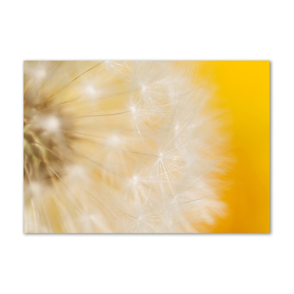 Wall art acrylic Dandelion