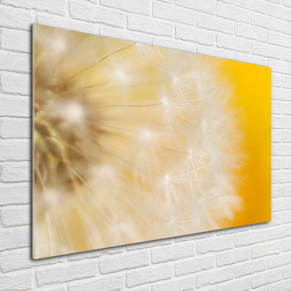 Wall art acrylic Dandelion