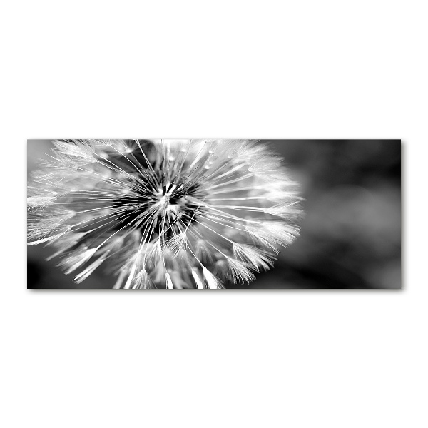 Acrylic wall art dandelions