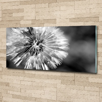 Acrylic wall art dandelions