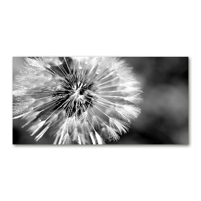 Acrylic wall art dandelions