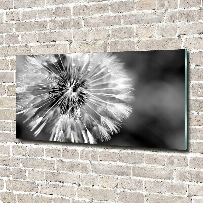 Acrylic wall art dandelions