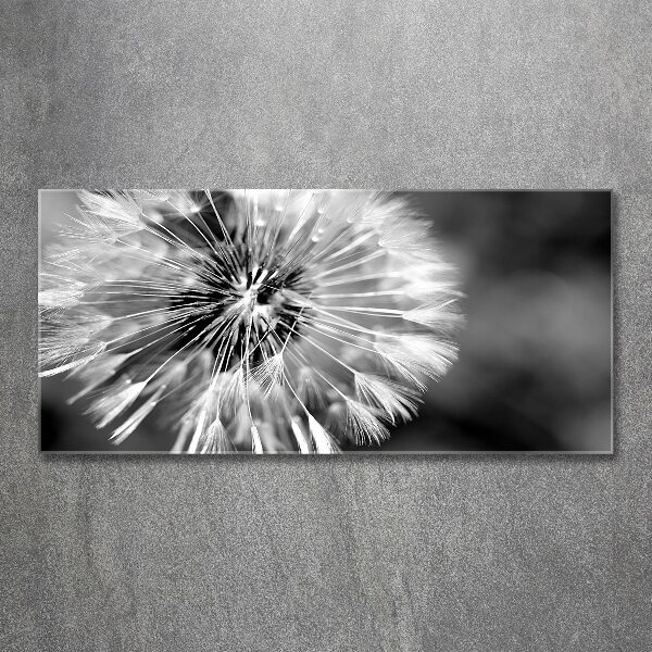 Acrylic wall art dandelions