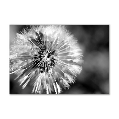 Acrylic wall art dandelions