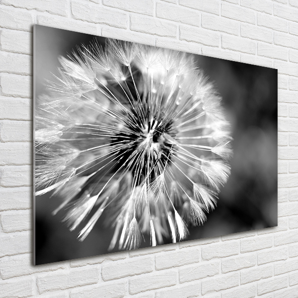 Acrylic wall art dandelions