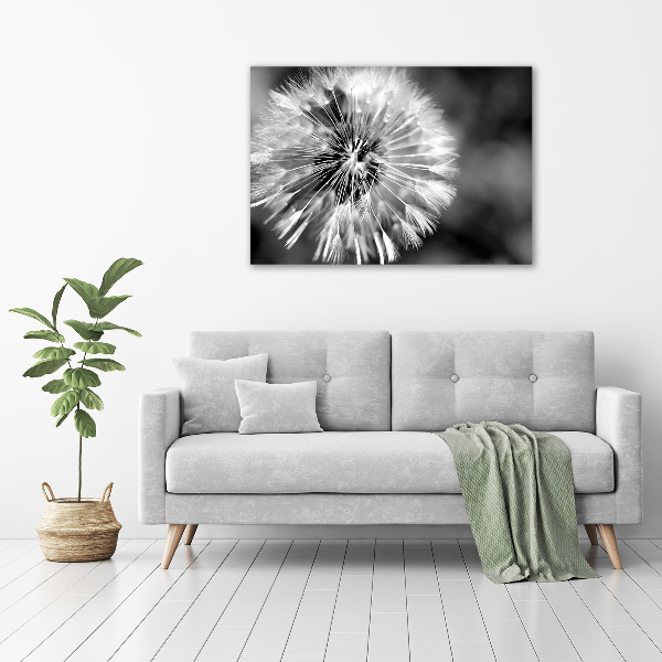 Acrylic wall art dandelions