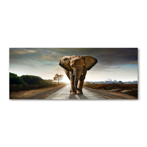 Acrylic wall art Walking the elephant