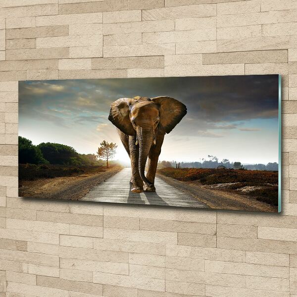 Acrylic wall art Walking the elephant