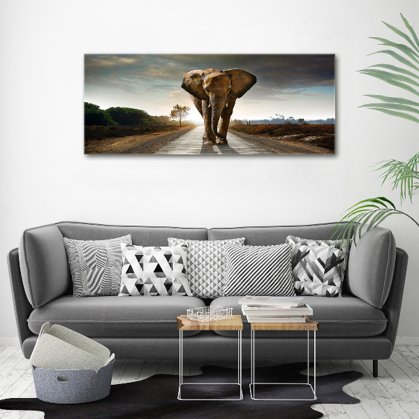 Acrylic wall art Walking the elephant