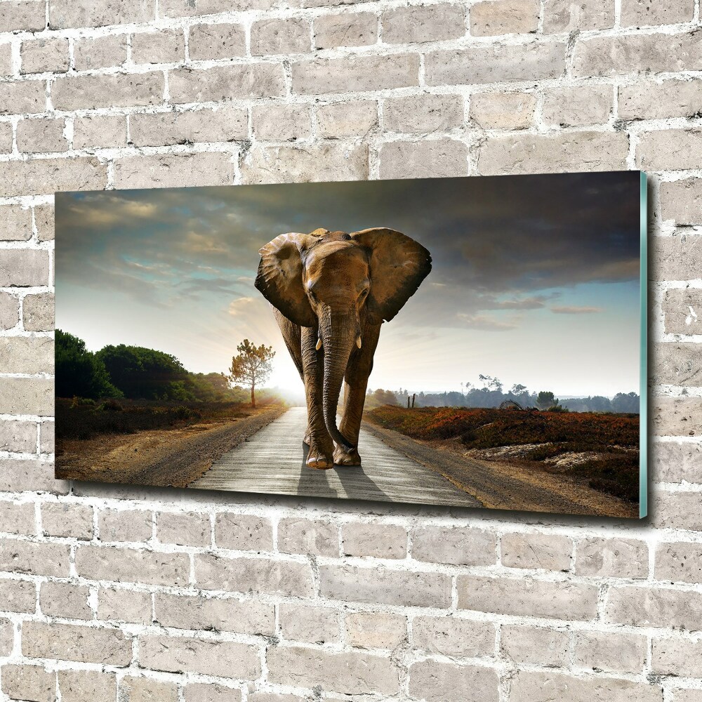 Acrylic wall art Walking the elephant