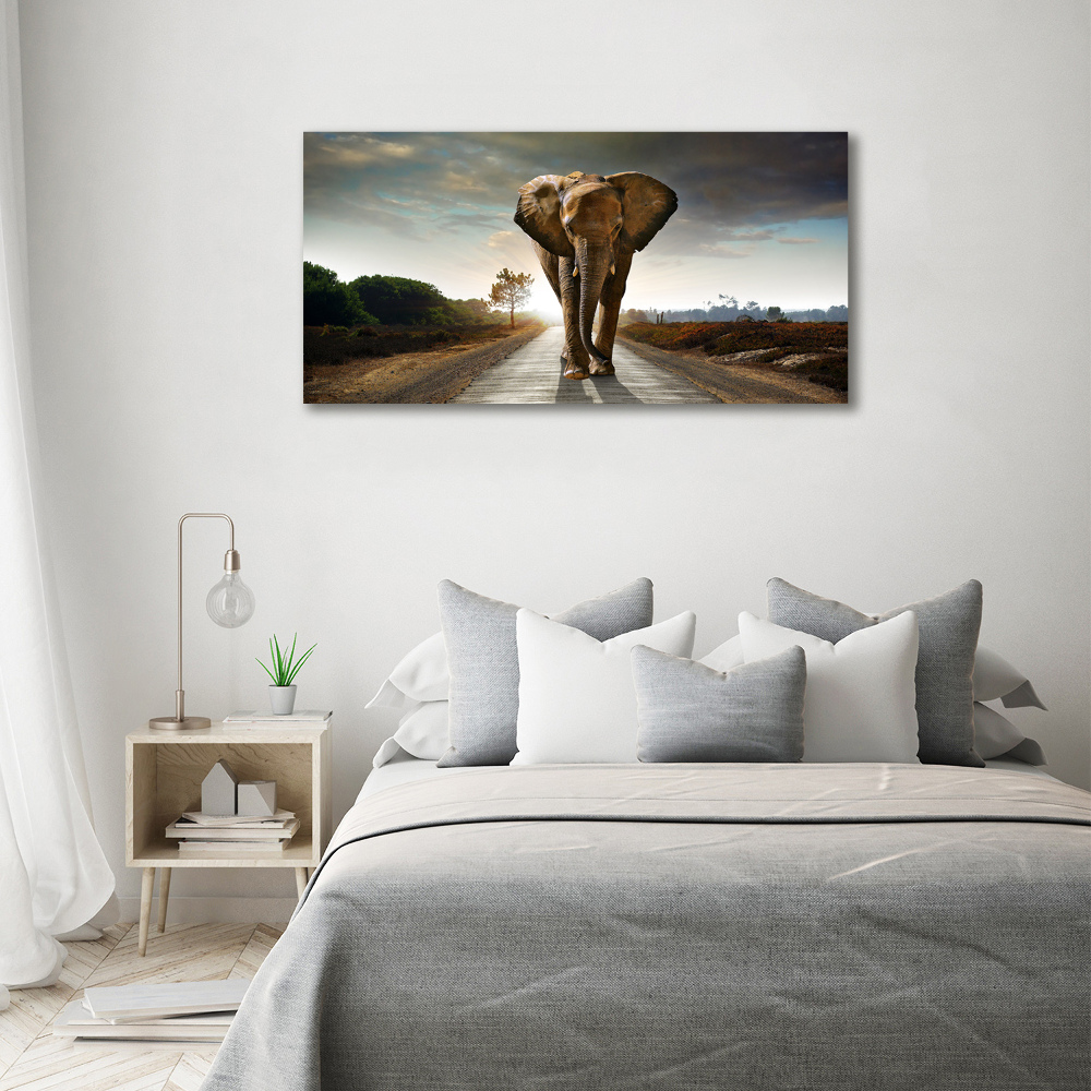 Acrylic wall art Walking the elephant