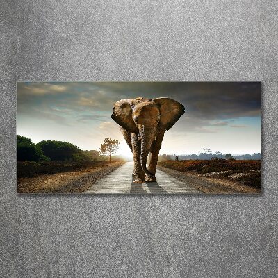 Acrylic wall art Walking the elephant