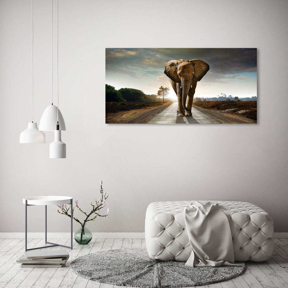 Acrylic wall art Walking the elephant