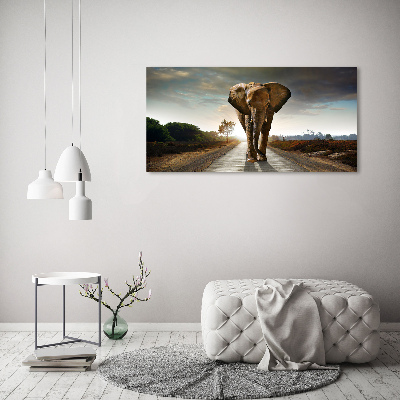 Acrylic wall art Walking the elephant