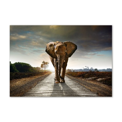 Acrylic wall art Walking the elephant