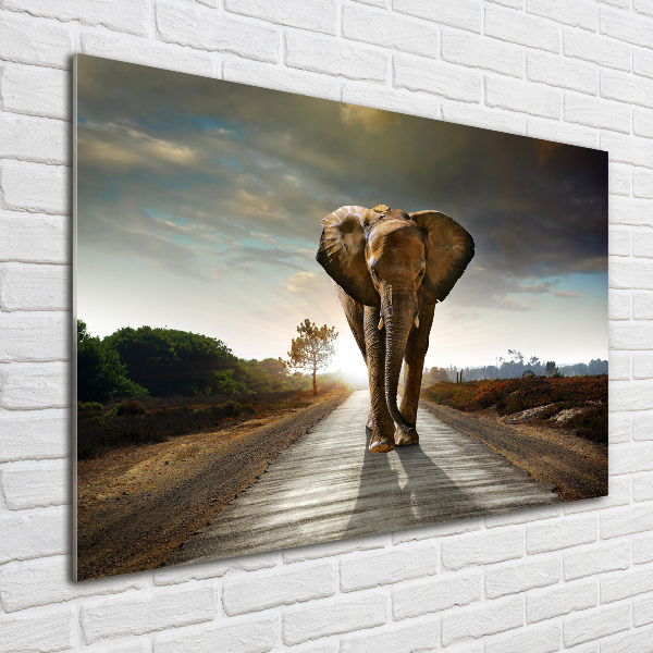 Acrylic wall art Walking the elephant