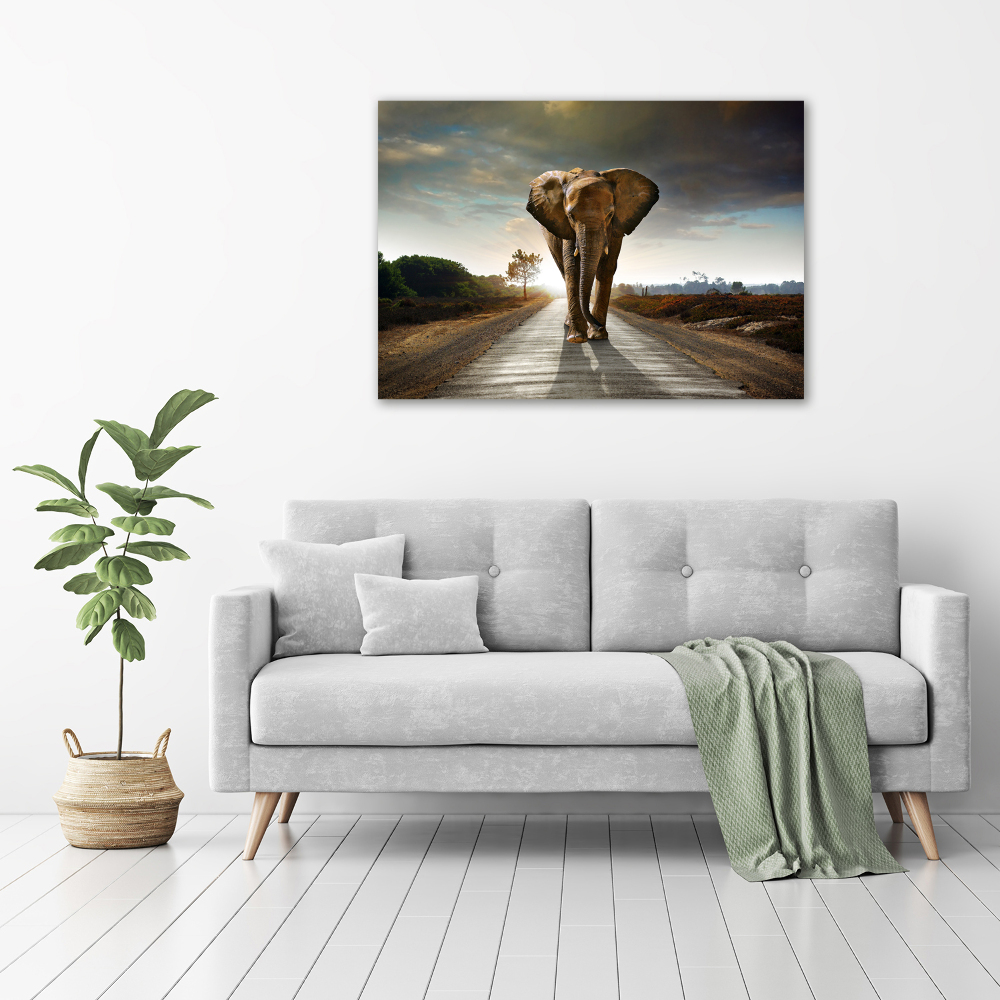 Acrylic wall art Walking the elephant