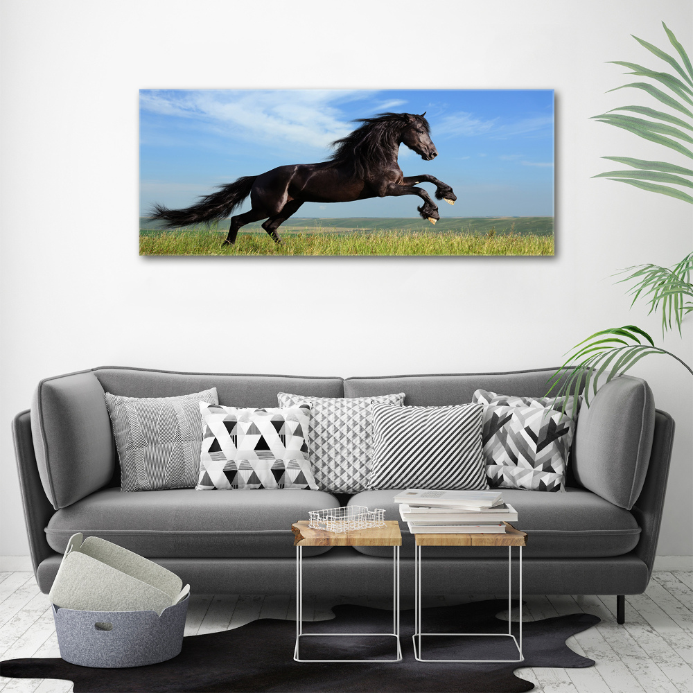 Acrylic print Black horse in the meadow