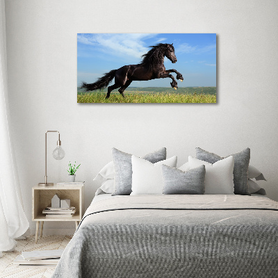 Acrylic print Black horse in the meadow