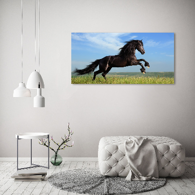 Acrylic print Black horse in the meadow