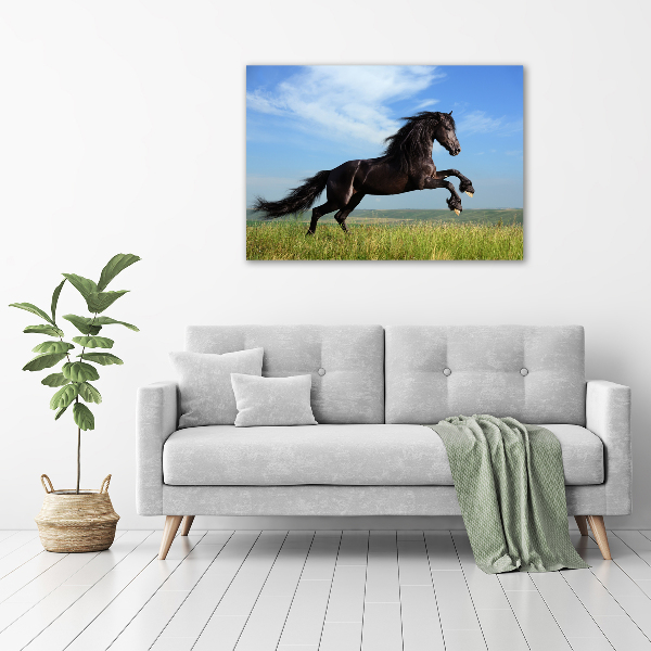 Acrylic print Black horse in the meadow