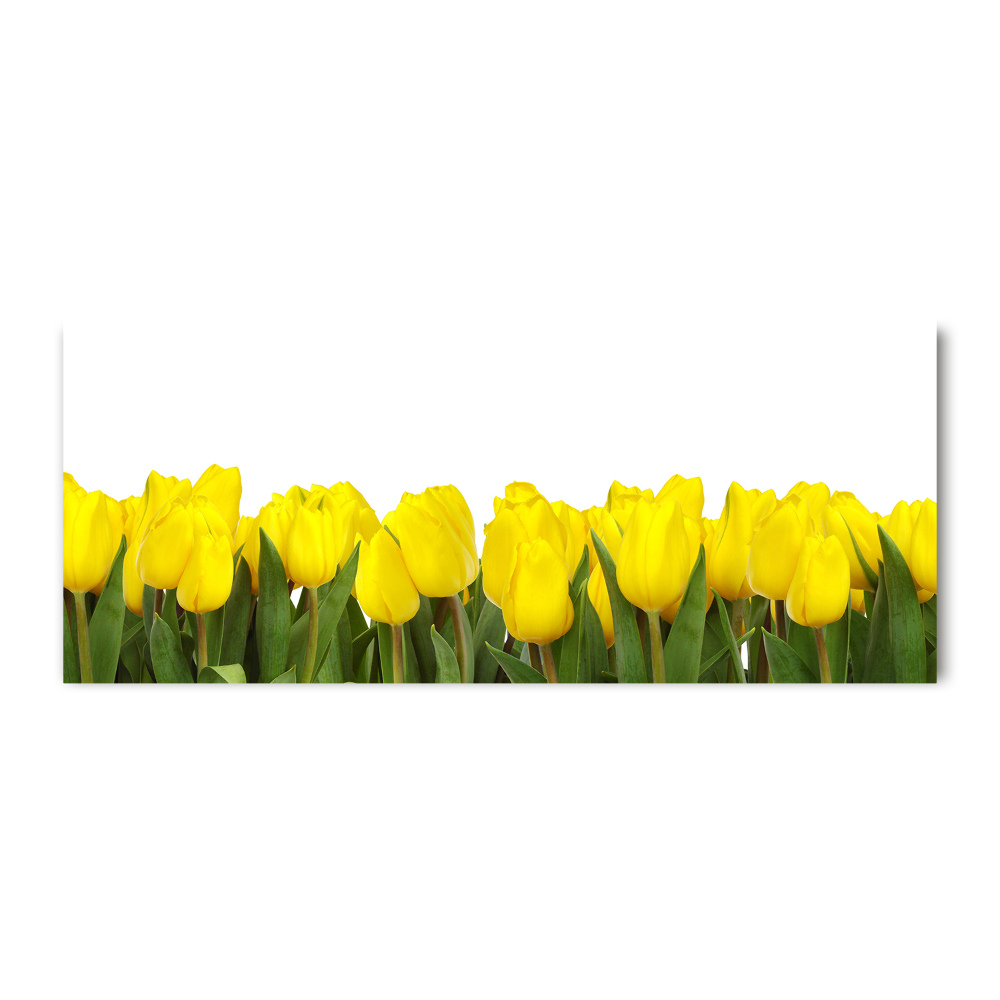 Print on acrylic Yellow tulips