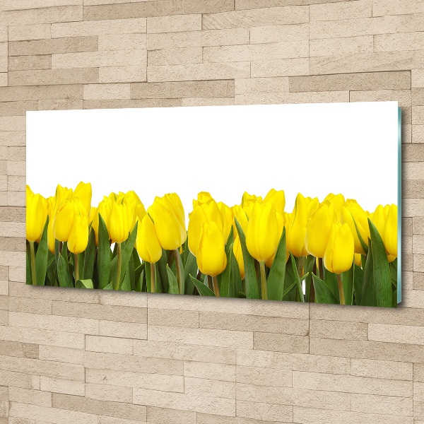 Print on acrylic Yellow tulips