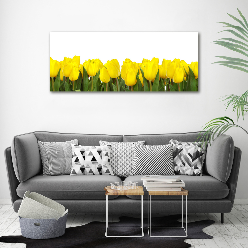 Print on acrylic Yellow tulips