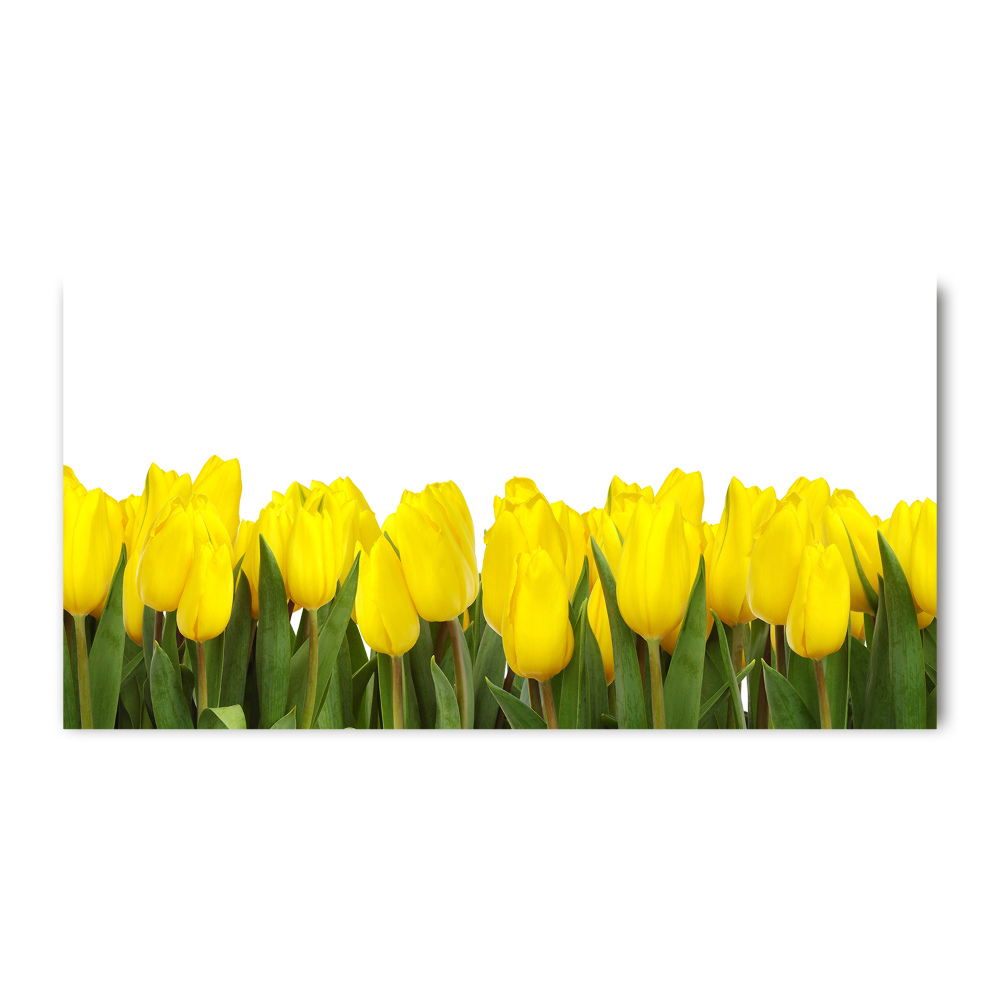 Print on acrylic Yellow tulips