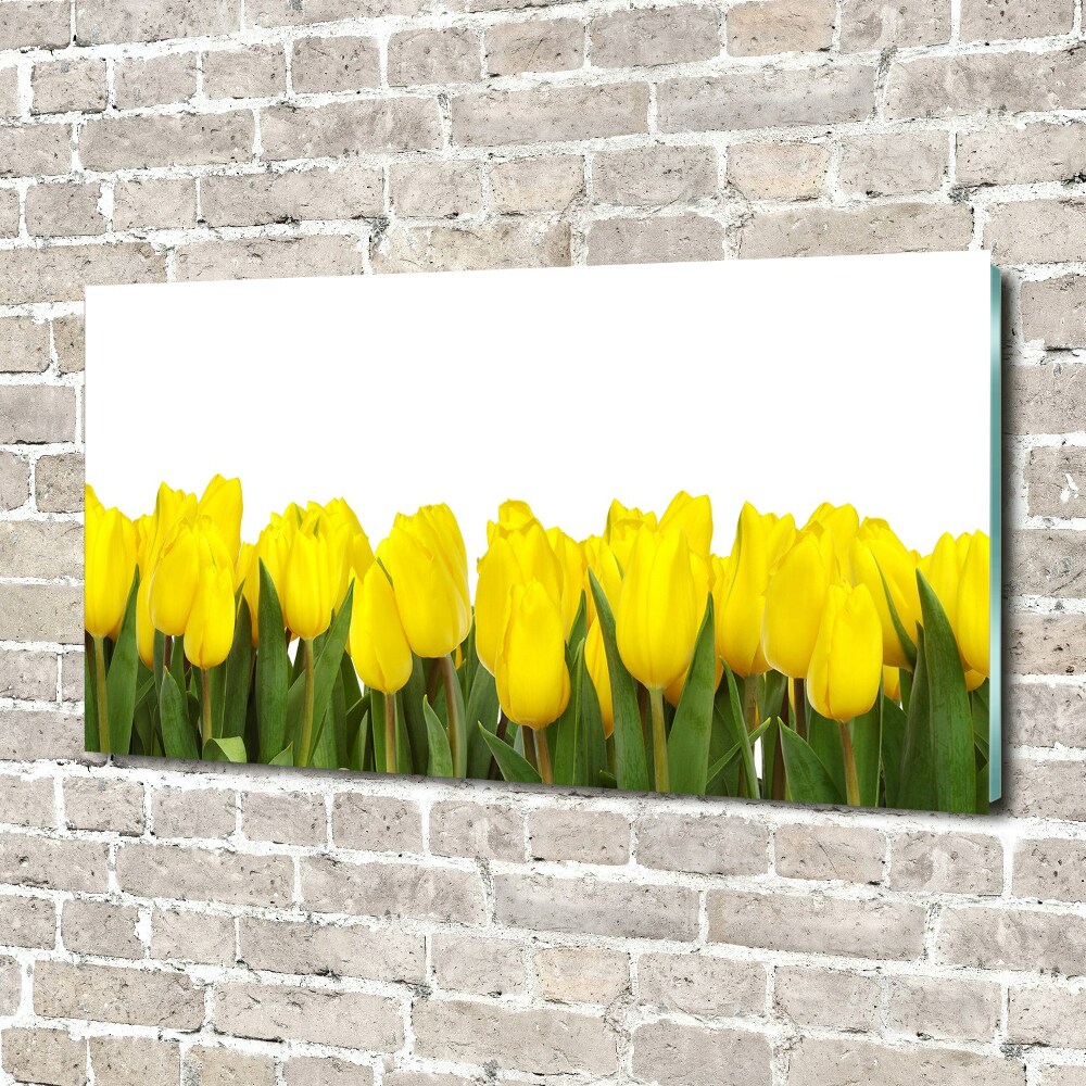 Print on acrylic Yellow tulips