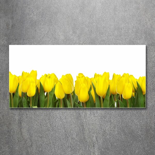 Print on acrylic Yellow tulips