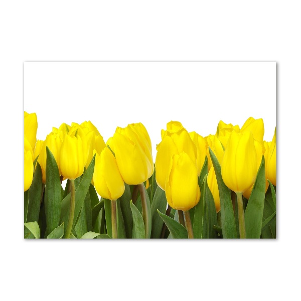 Print on acrylic Yellow tulips