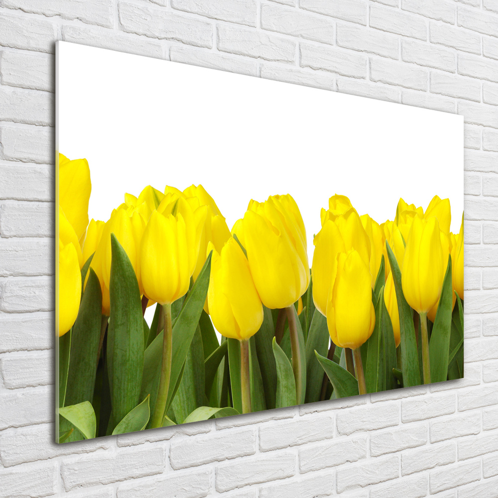 Print on acrylic Yellow tulips